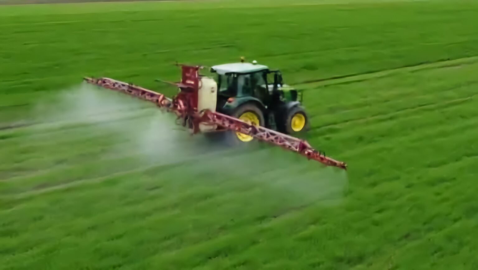 Nezapamćen pomor pčela,  sumnja se na zabranjene pesticide