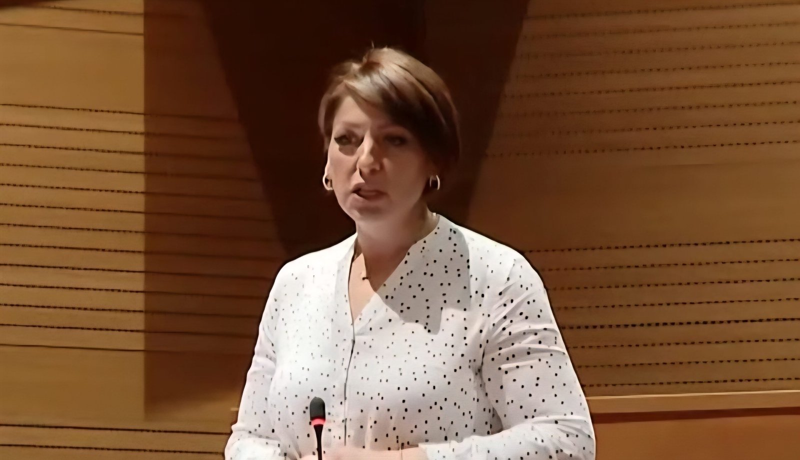 Konstruktivna podrška umjesto političkih podjela: Boška Ban glasala za novog ministra?