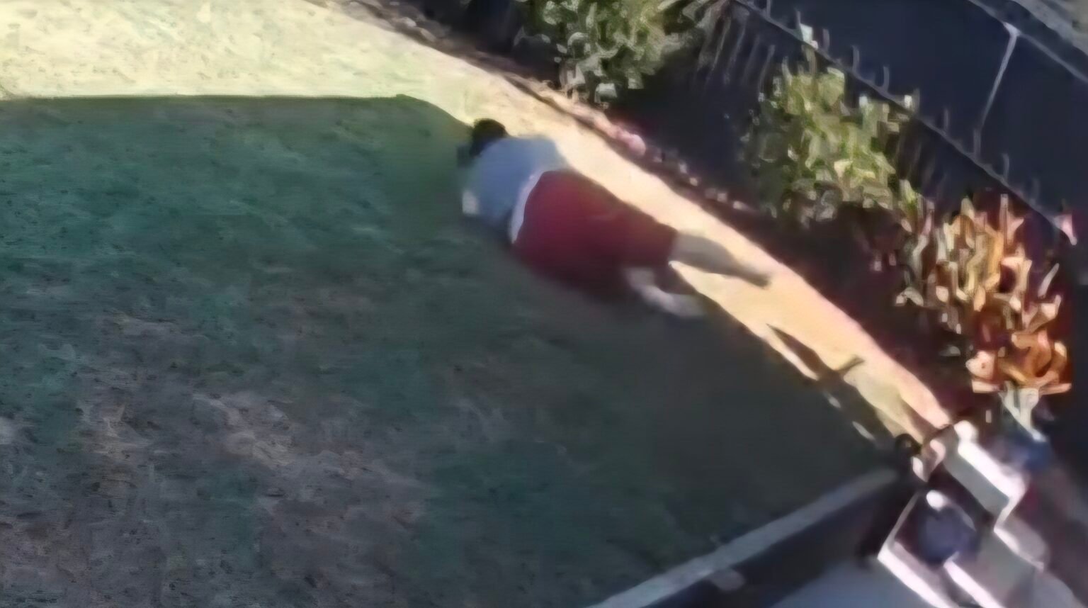 ​[VIDEO] DRAMA U DVORIŠTU: Zmija otrovnica izletjela iz rupe i omotala se ženi oko noge – njezina reakcija je nevjerojatna!